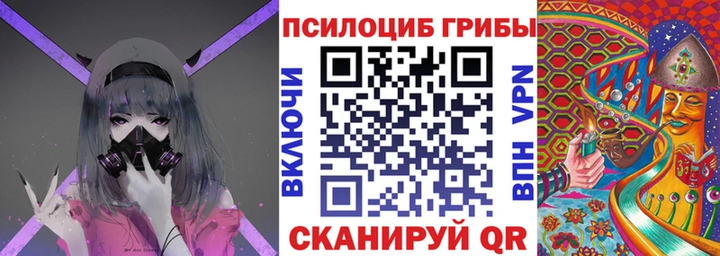 МЕГА вход  Приозерск  Псилоцибиновые грибы Magic Shrooms 